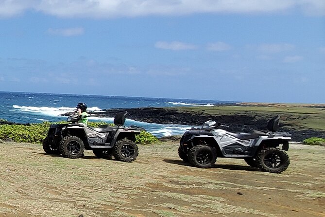 Big Island Southside ATV Tour - Pulehua Island is the tour’s best wildlife stop