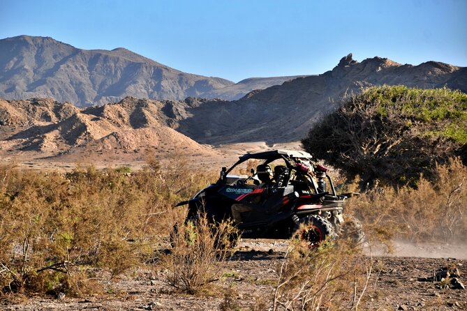 Boa Vista 2h Buggy Death Valley Adventure 1000cc - Key points at a glance
