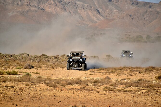 Boa Vista 2h Buggy Death Valley Adventure 1000cc - The oasis stop, with realistic expectations