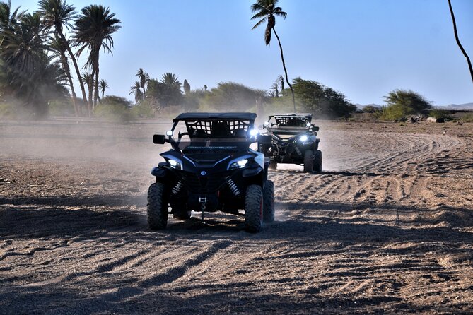 Boa Vista 2h Buggy Death Valley Adventure 1000cc - Speed, safety, and the group pace