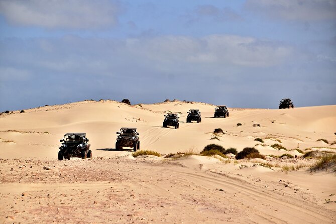Boa Vista 4h South Buggy Adventure 1000cc - Starting near Sal Rei at 9:00 am