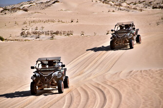 Boa Vista 4h South Buggy Adventure 1000cc - Praia de Verandinha and its natural arch