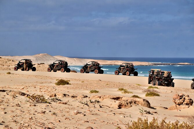Boa Vista 4h South Buggy Adventure 1000cc - What the $289.62 group price really means