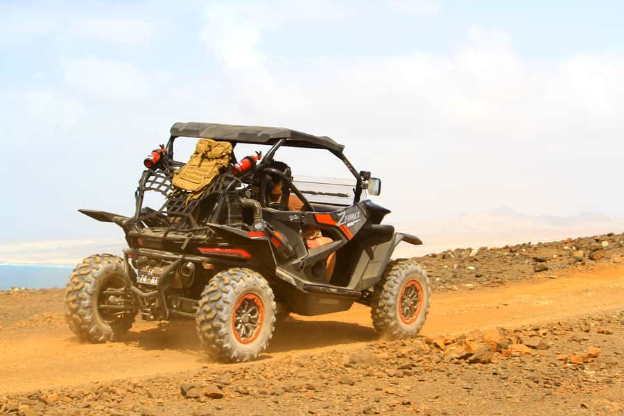 Boa Vista Buggy Tour: Death Valley Adventure (2-Hour) - The oasis gives the route its best contrast