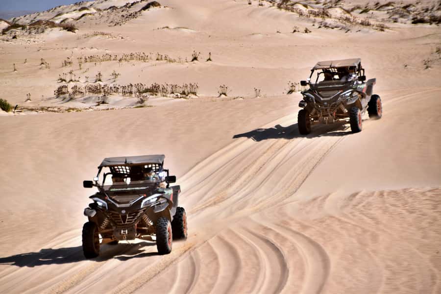 Boa Vista Buggy Tour: Santa Monica & South Desert (4-Hour) - Key points at a glance