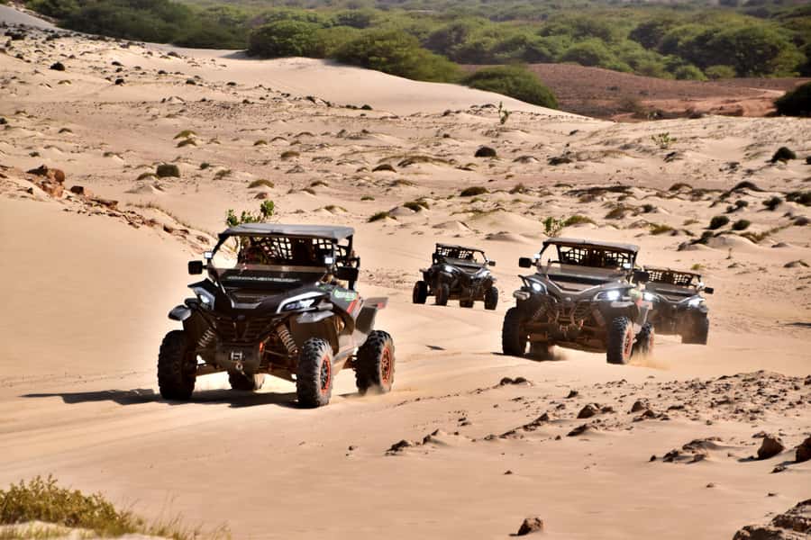 Boa Vista Buggy Tour: Santa Monica & South Desert (4-Hour) - Santa Monica Beach, Boa Vista’s great open stretch
