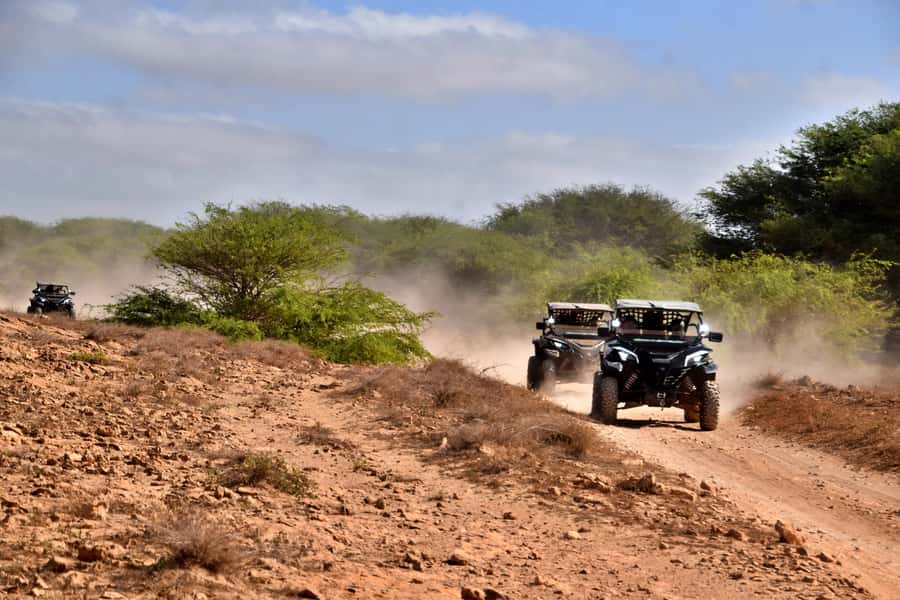 Boa Vista Buggy Tour: Santa Monica & South Desert (4-Hour) - How much value do you get for $293?