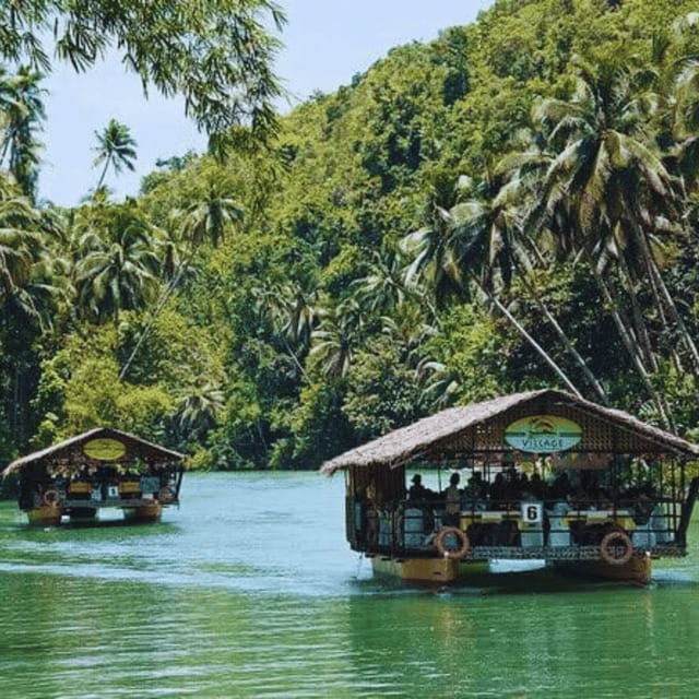 Bohol: Choco Tour + Loboc River Lunch Buffet + ATV Adventure - Bilar’s mahogany forest is a short photo stop