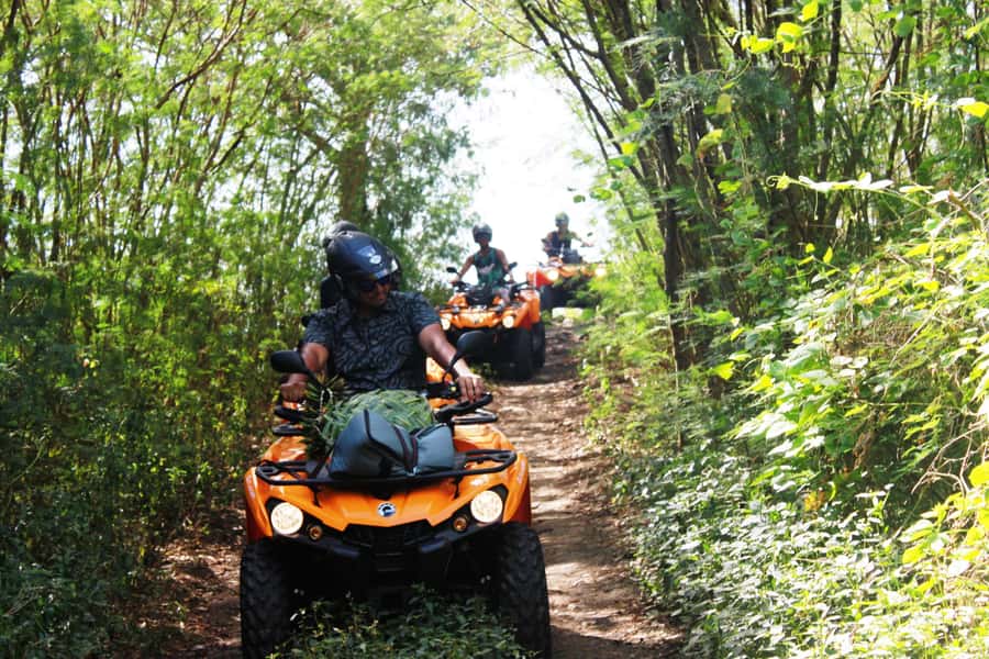 Bora Bora: Island Tour and Mountains Getaway by Quad Bike - Anau rock and the view toward Mount Otemanu