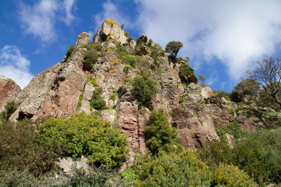 Bosa: Coast and Country Guided Quad Bike Tour - Why this quad ride works for Bosa