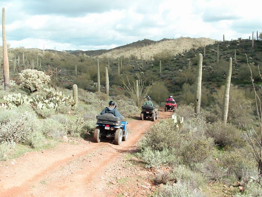 Box Canyon and Pinal Mountains Half-Day ATV Tour - Key points to know before you book