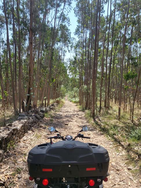 Braga: Quad bike ride, experience the adventure in Braga with Quad Paradise! - Who Gets the Best Value