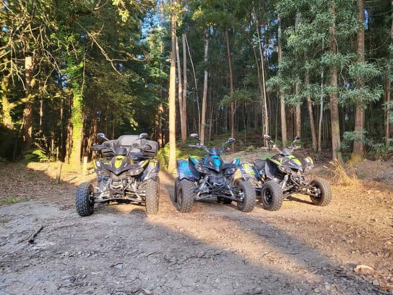 Braga: Quad bike ride, experience the adventure in Braga with Quad Paradise! - Should You Book Quad Paradise Braga?