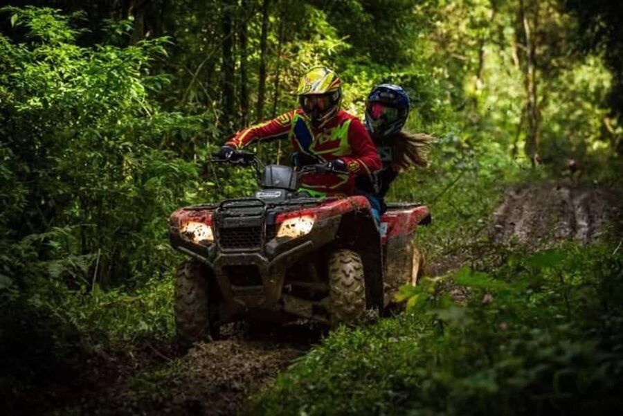 Brașov: Snowmobile / ATV Adventure with Hotel Pickup - One hour on forest and mountain trails