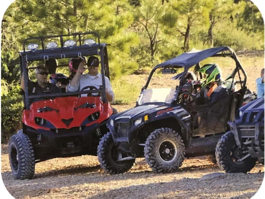 Bryce Canyon: 4-Hour, 4-Seat or 5-Seat ATV Rental - Wildlife watching on the trail