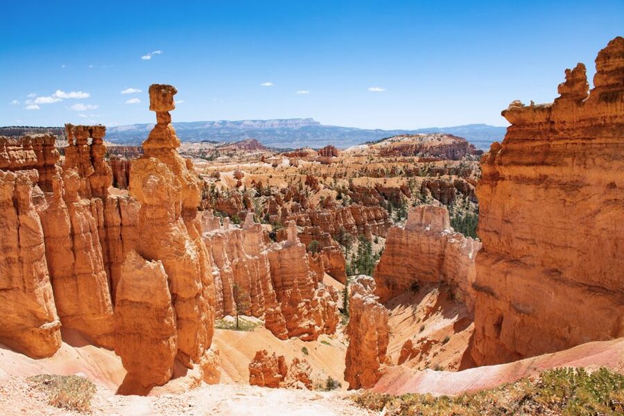 Bryce Canyon City Guided ATV/RZR Tour - What the one-hour Bryce ATV tour is really like