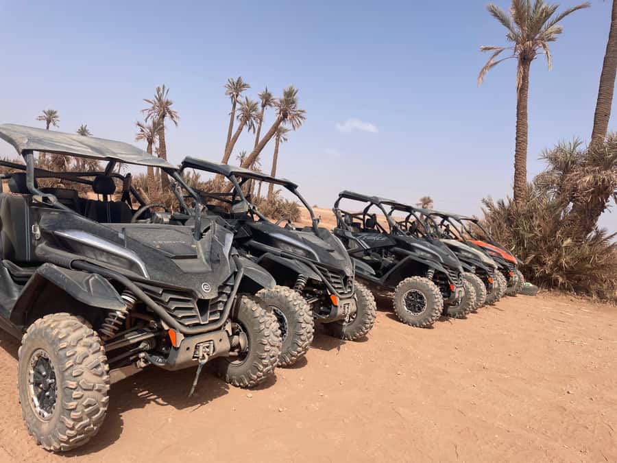 Buggy 1000 cc Adventure in Marrakech Desert - Should You Book the Marrakech Buggy Adventure?