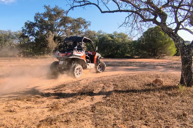 Buggy Adventure - 1.5 Hours Off-Road Guided Tour from Albufeira - Who will enjoy this ride most