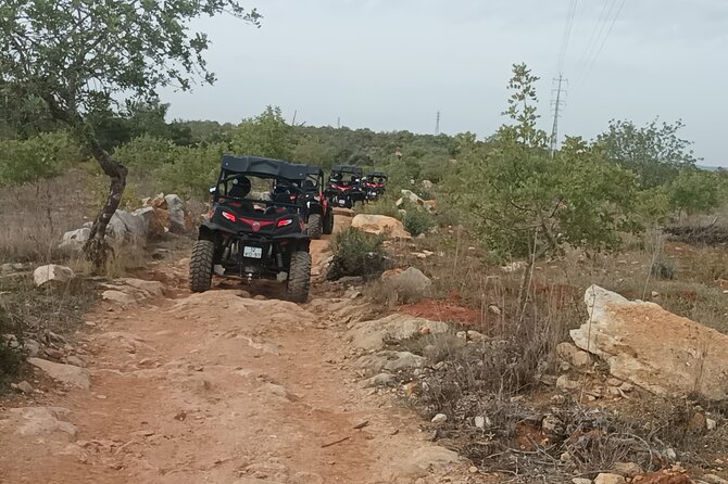 Buggy Adventure - 1.5 Hours Off-Road Guided Tour from Albufeira - How the staff shape the experience