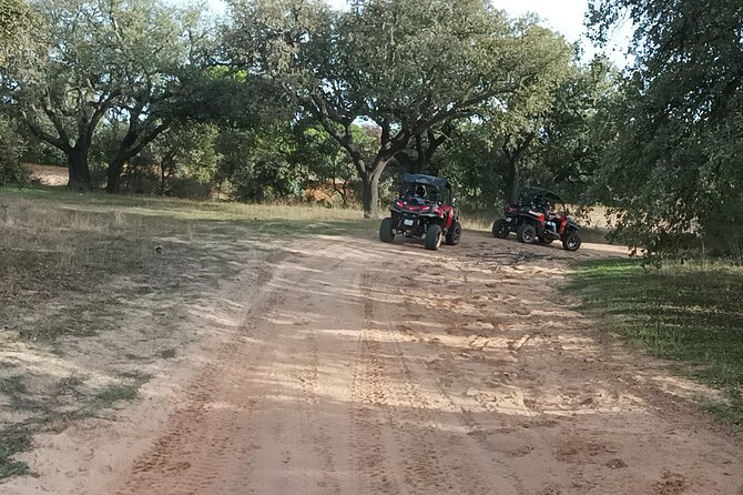 Buggy Adventure - 1.5 Hours Off-Road Guided Tour from Albufeira - Booking details that can save you trouble