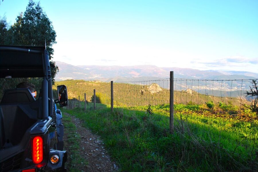 Buggy Experiences - Who should book this buggy experience?