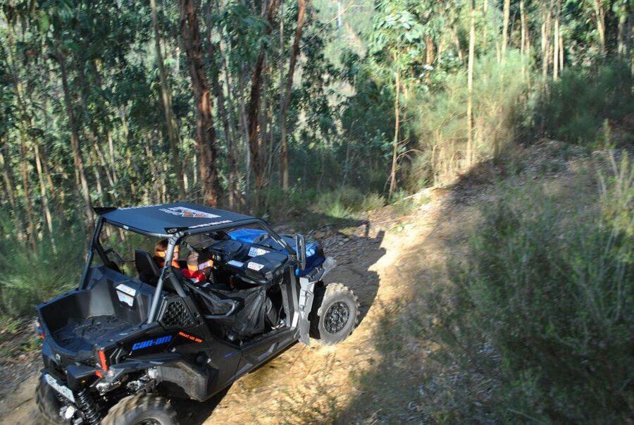 Buggy Experiences - Why the two and three-hour packages matter