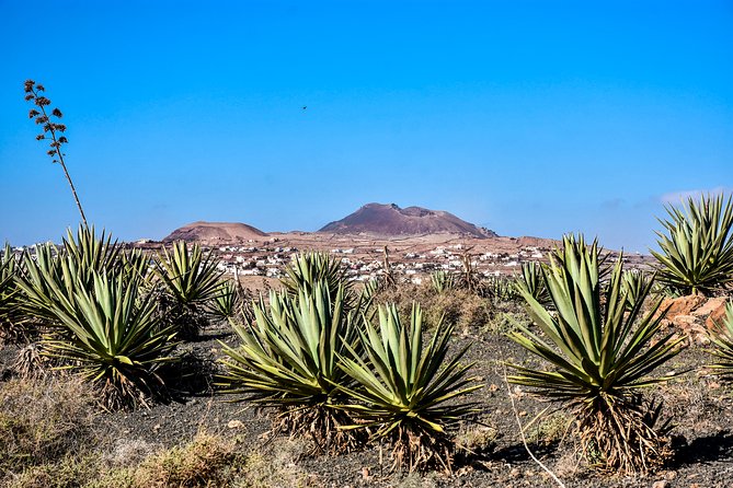 Buggy Fuerteventura Off-Road Excursions - Guides make a real difference