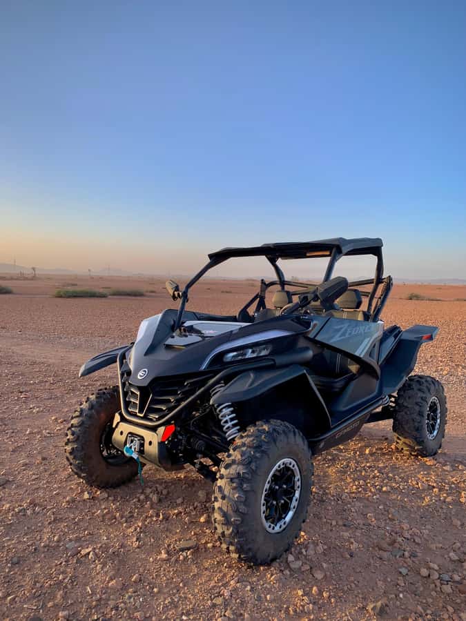 Buggy Marrakech Desert and Palmerie - Key points to know before booking