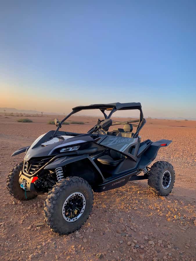 Buggy Marrakech Desert and Palmerie - From Marrakech to the Palmerie in about 30 minutes
