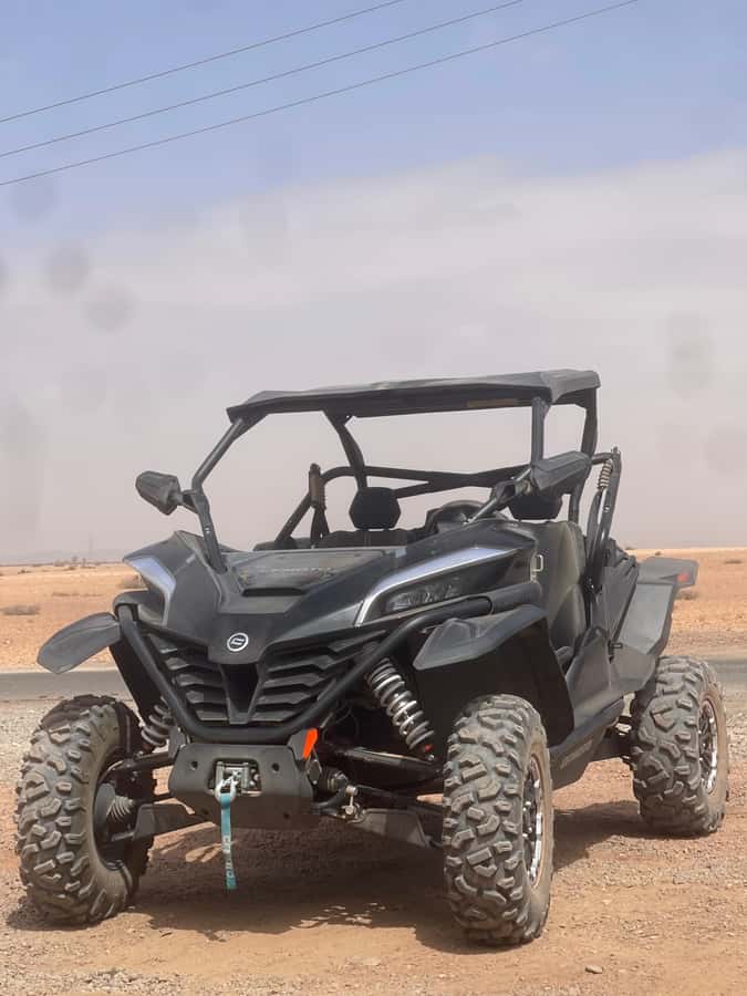 Buggy Marrakech Desert and Palmerie - Guides, languages, and the human side of the ride