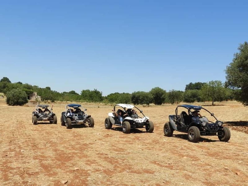 Buggy/Quad excursions in Puglia with 4-seater buggies available on request. - Key points to know before you book