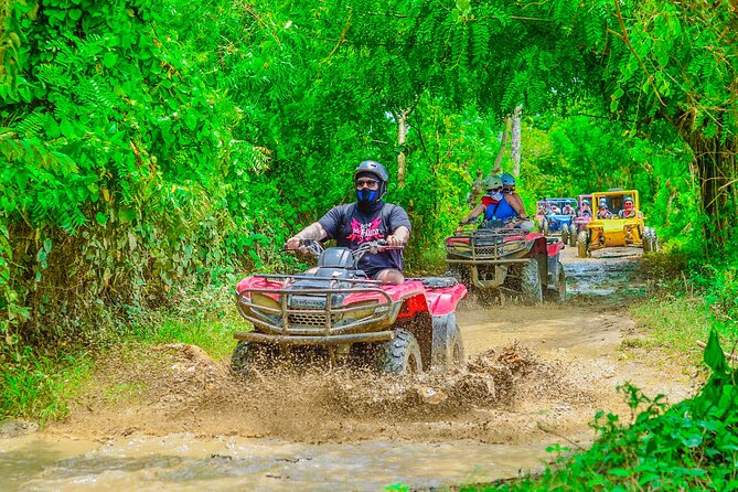 Buggy Ride Into the jungle with cave coffee & chocolate tasting - The ecological farm, coffee, cocoa, and tobacco stop