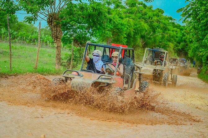 Buggy Ride Into the jungle with cave coffee & chocolate tasting - Pickup, timing, and the shape of the day