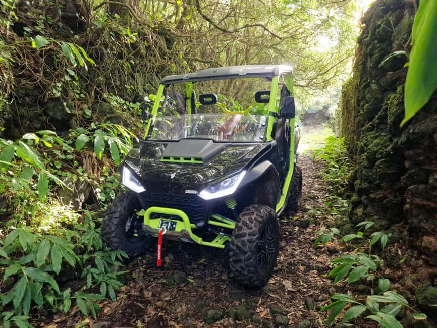 Buggy ride through the vineyards of Pico Island - Why a buggy is a smart way to see Pico’s vineyards