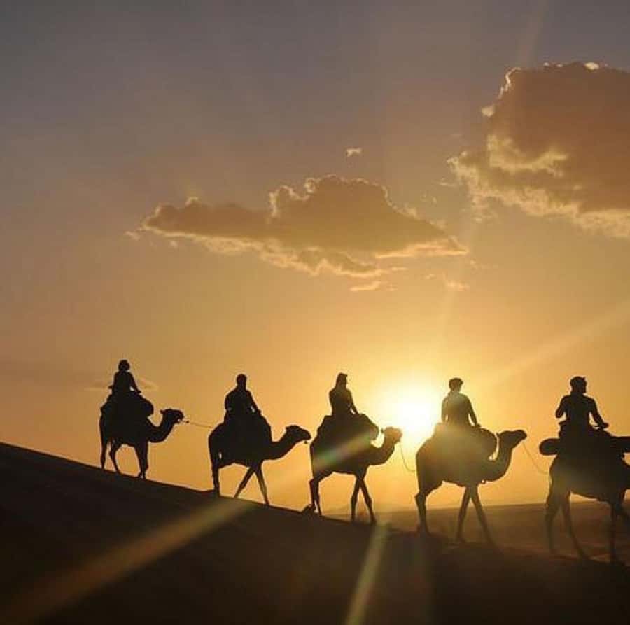 Buggy ride with camels and dinner show in agafay desert - A five-hour desert evening from Marrakech