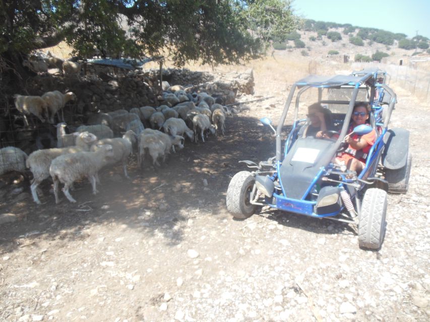 Buggy safari Crete (Transfer and lunch) analipsi- hersonisos - Price, timing and what is included