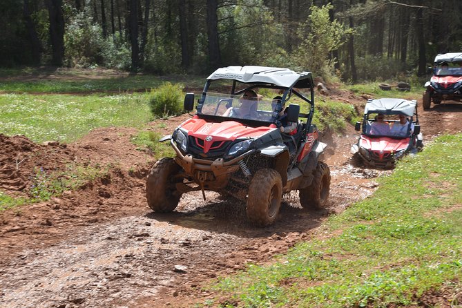 Buggy Safari for 2 people - What the $180.23 group price really buys