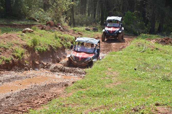 Buggy Safari for 2 people - Booking, cancellation, and small practical details