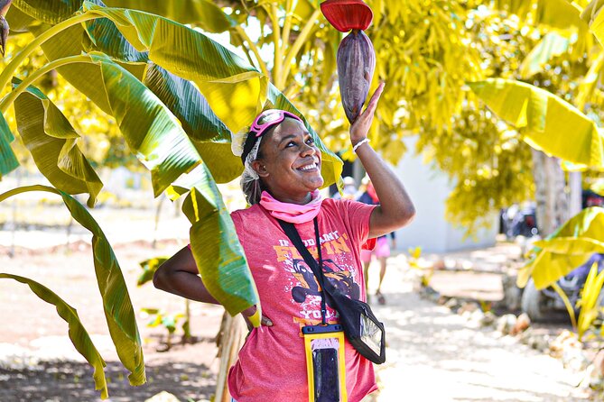 Buggy Tour Punta Cana: MagicalCaves ,Dream Beaches & Culture - What the $40 price really includes