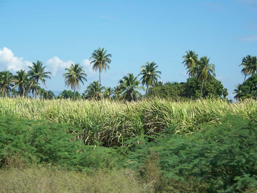 Cabarete: 2-Person Dominican Countryside Buggy Tour - Key points to know before you book