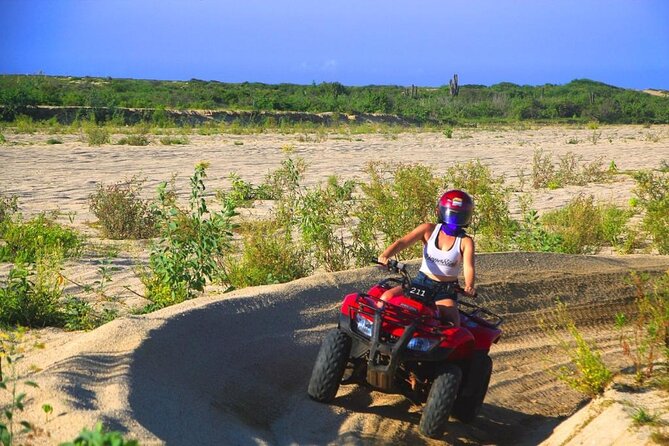 Cabo ATV and Camel Ride Combo Migriño Adventure - The camel sanctuary and animal encounter