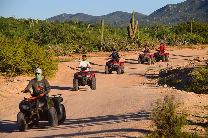 Cabo Migrino Beach and Desert ATV Tour plus Tequila Tasting - What the $75 price really covers