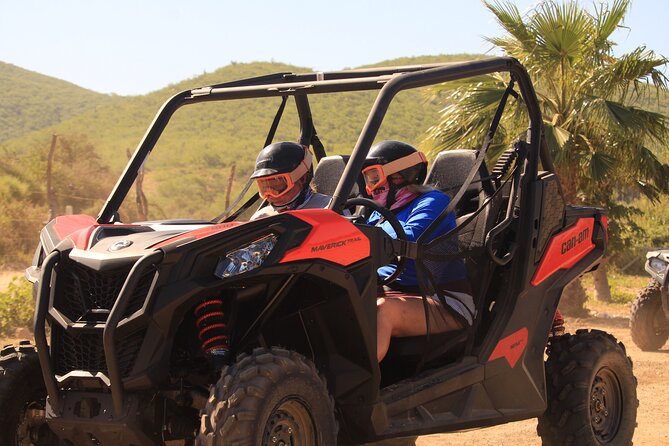 Cabo Migrino Beach & Desert UTV Tour and Tequila Tasting - Riding through cactus country and riverbeds