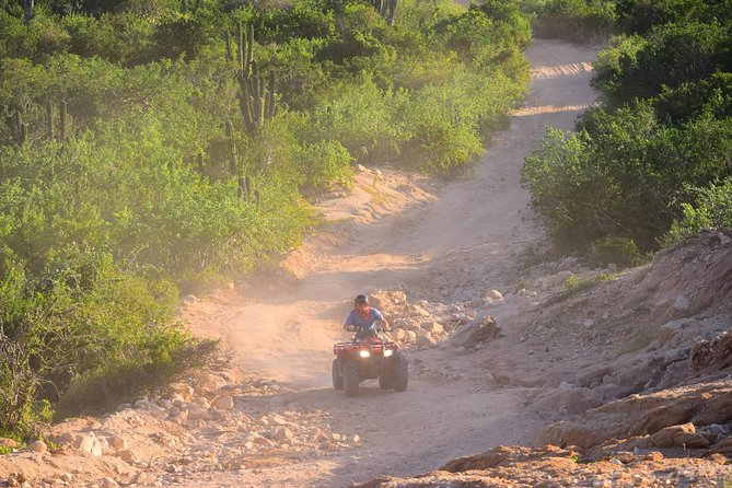 Cabo Original Real Baja 1000 Tour (Single ATV) - From mountain trails to riverbeds
