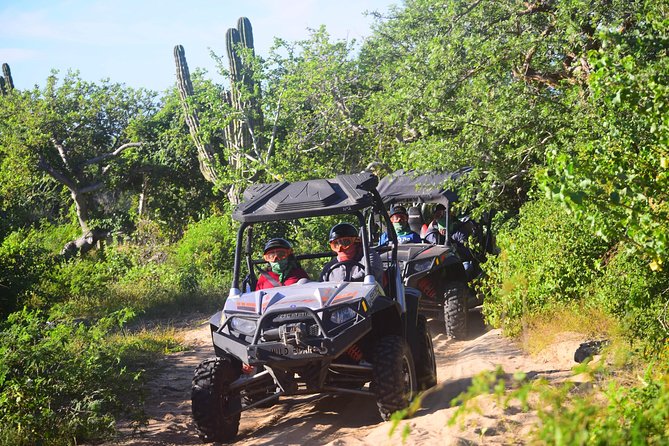 Cabo Original Real Baja 1000 Tour (UTV) - Getting ready for a UTV ride