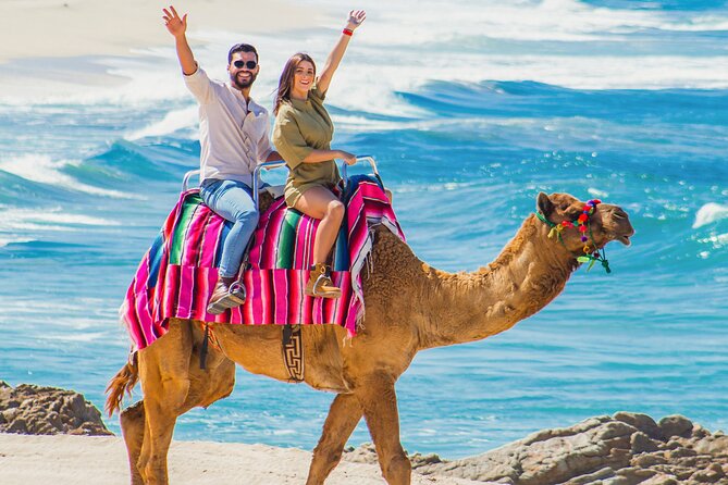 Cabo San Lucas Camel and Horseback Ride with ATV Adventure - A three-ride day on the Pacific side of Cabo