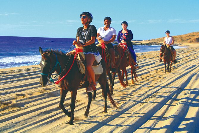 Cabo San Lucas Camel and Horseback Ride with ATV Adventure - The camel encounter beside Migriño Beach