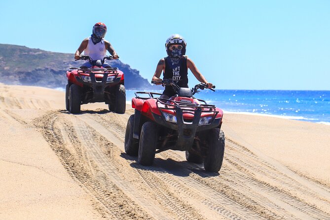 Cabo San Lucas Camel and Horseback Ride with ATV Adventure - Horseback riding on the sand