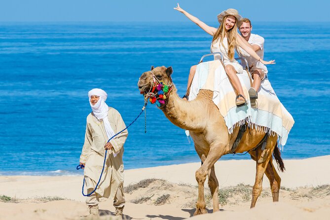 Cabo San Lucas Camel and Horseback Ride with ATV Adventure - What the guides add to the experience