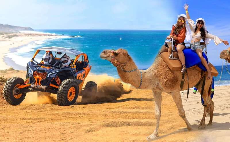 Cabo San Lucas: Camel Ride & Off-Road UTV Combo Adventure - Two very different rides in one Cabo outing